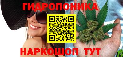 MESCALINE Ачхой-Мартан