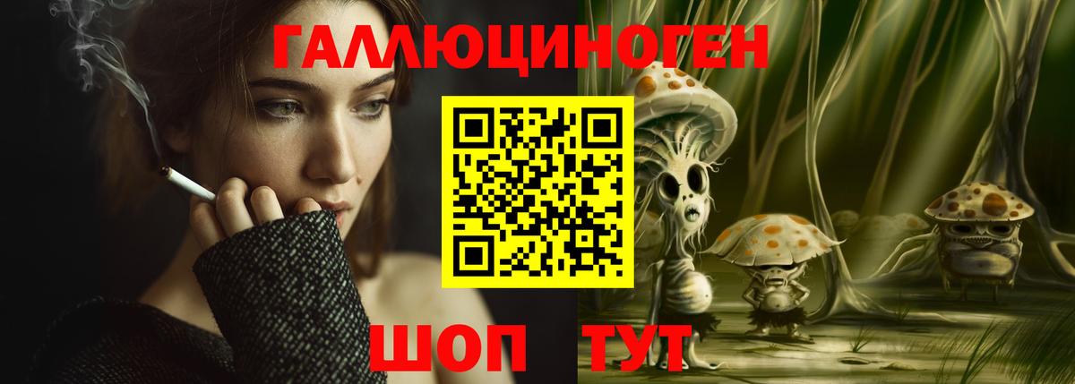 Когалым  Галлюциногенные грибы Psilocybine cubensis  Вход с VPN 